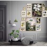 affiche citronnier vintage planche botanique The Dybdahl Citronier Commun