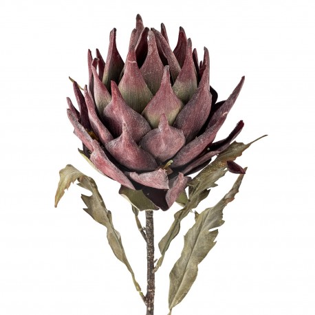 Tige fleur artificielle exotique Protea Bloomingville