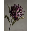 Tige fleur artificielle exotique Protea Bloomingville
