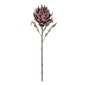 Tige fleur artificielle exotique Protea Bloomingville