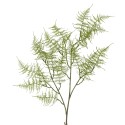 tige de fougere artificielle bloomingvillle