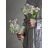 Tige de plante fenouil artificiel Bloomingville
