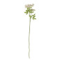 Tige de plante fenouil artificiel Bloomingville