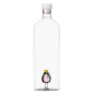 carafe bouteille cactus fleur rose ichendorf desert plant