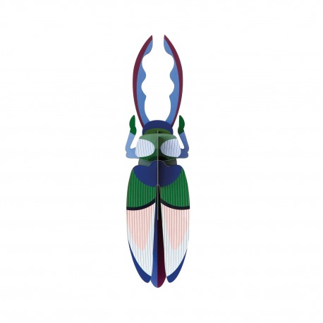 scarabee coleoptere studio roof en carton deco murale