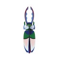 scarabee coleoptere studio roof en carton deco murale