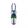 scarabee coleoptere studio roof en carton deco murale