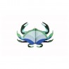 studio roof deco murale carton crabe aquamarine