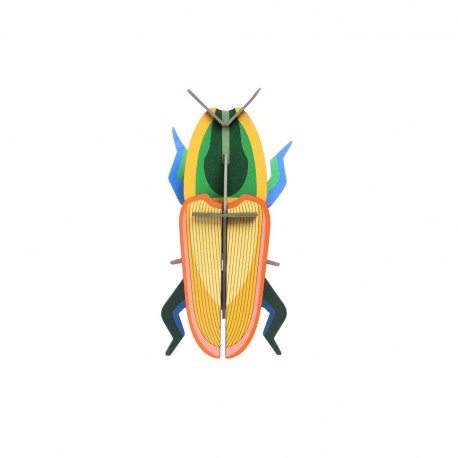 insecte deco murale studio roof scarabée de madagascar