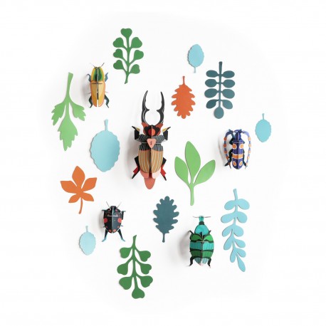 studio roof mur de curiosites insectes carton antiquaire de scarabées