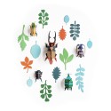 studio roof mur de curiosites insectes carton antiquaire de scarabées
