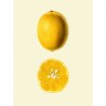 Affiche citron The Dybdahl Lemon