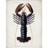 Affiche homard vintage The Dybdahl Lobster