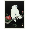 affiche ukiyo japonaise peroquet the dybdahl cockatoo pomegranate