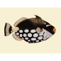 affiche poisson vintage ancienne the dybdahl dot galore affiche poisson vintage ancienne the dybdahl dot galore