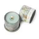 bougie parfumee ambiance illumine fresh sea