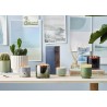 bougie parfumee vegetale vegan jasmin illumine fresh sea