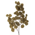 eucalyptus fleur artificielle marron bloomingville
