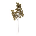 eucalyptus fleur artificielle marron bloomingville
