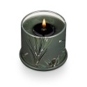 bougie parfumee vegetale cedre balsame illumine bloomingville
