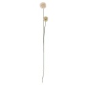 tige de plante vivace phlox artificielle bloomingville