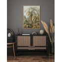 affiche botanique fougeres the dybdahl alsophila