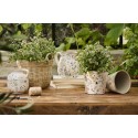 cache pot fleuri ceramique ib laursen meadow