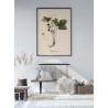 Affiche botanique ancienne fraisier des bois The Dybdahl