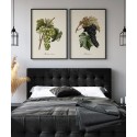 Affiche grappe raisin The Dybdahl Muscat d'Alexandrie