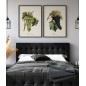 affiche grappe raisin muscat d alexandrie the dybdahl
