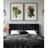 affiche grappe raisin muscat d alexandrie the dybdahl