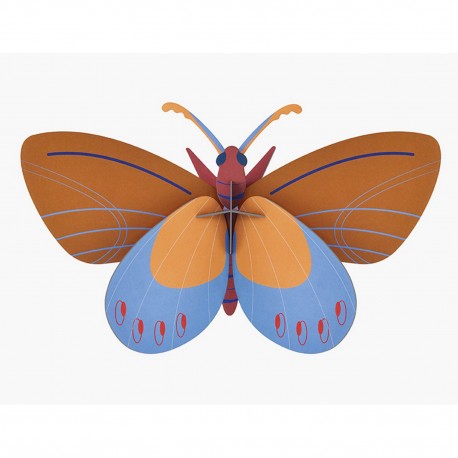 papillon studio roof ochre costa butterfly