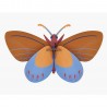 Pappwand-Schmetterling Studio Roof Ocker Costa Butterfly