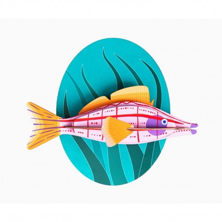 studio roof decoration carton poisson faucon à long nez