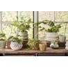 cache pot elegant chic vert ceramique ondule ib laursen