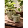 petit cache pot vert ceramique texture ondule ib laursen