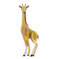 decoration murale girafe carton studio roof