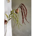 plante sauvage artificielle queue de renard marron bloomingville