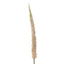 Fleur artificielle tige de queue de renard Bloomingville