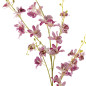 fleur orchidee sauvage rose bloomingville orchid