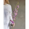 fleur orchidee sauvage rose bloomingville orchid