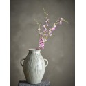 fleur orchidee sauvage rose bloomingville orchid