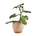 cache pot gres rustique artisanal rose corail madam stoltz