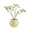 cache pot gres jaune madam stoltz