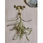 patere murale metal laiton dore oiseaux bloomingville fredo patere murale metal laiton dore oiseaux bloomingville fredo