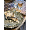 Verre a eau recycle martele artisanal Madam Stoltz