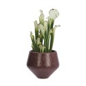 Petit cache pot design gres rouge Madam Stoltz