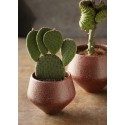 Petit cache pot design gres rouge Madam Stoltz