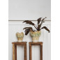 Table console da point carree bois recycle Madam Stoltz