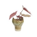 Vase ceramique organique sculptural Madam Stoltz